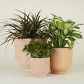 Footed Planter - Terracotta