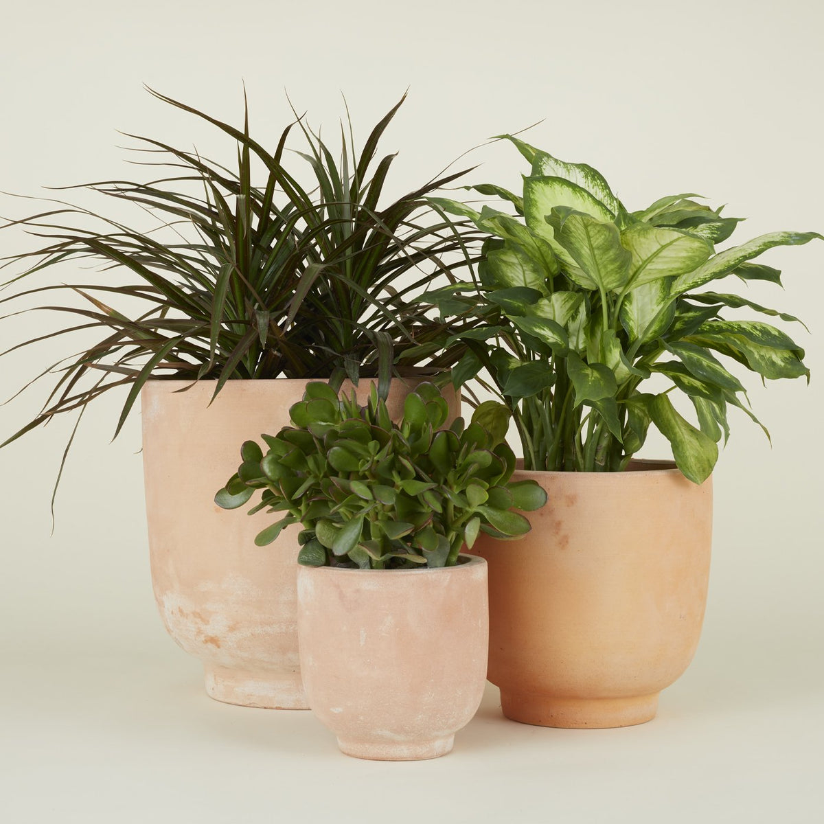Footed Planter - Terracotta