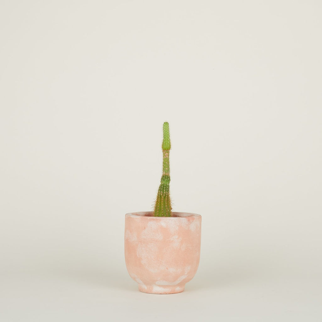 Footed Planter - Terracotta