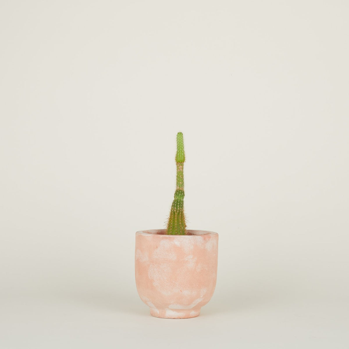Footed Planter - Terracotta